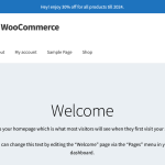 Storewide Sale For WoooCommerce - 5